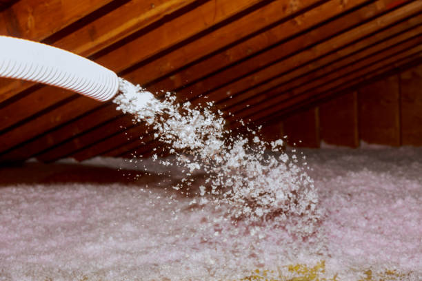 Best Types of Insulation in Las Maravillas, NM
