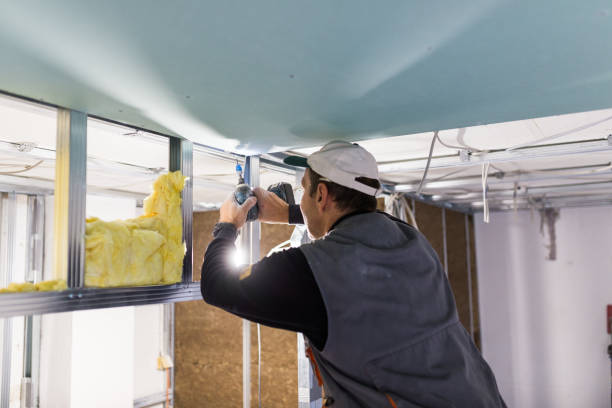 Best Insulation for Specific Applications in Las Maravillas, NM