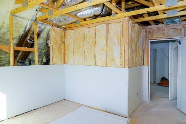 Best Insulation Maintenance and Repair in Las Maravillas, NM